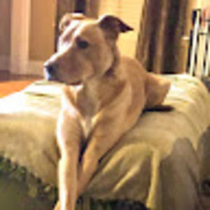 Meet your Posher, Rhonda